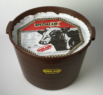 16% All-Natural Forage Supplement