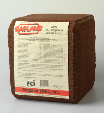 Elite 12% Phosphorus Mineral Block